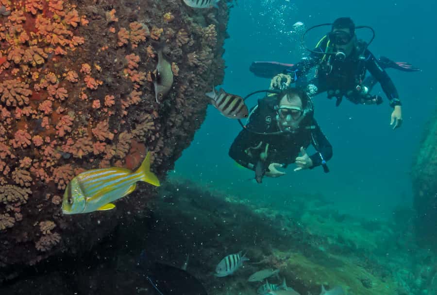 Paraty: Discovery Scuba Diving Experience for Beginners - Who Should Book This Experience?