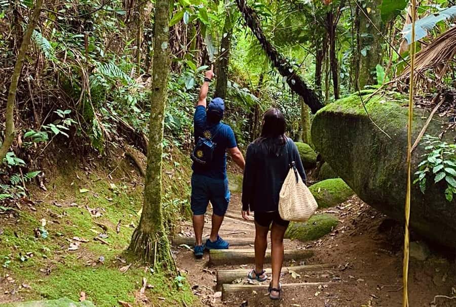 Paraty: Gold Trail Rainforest Hiking Tour - Meeting at Av. Roberto Silveira