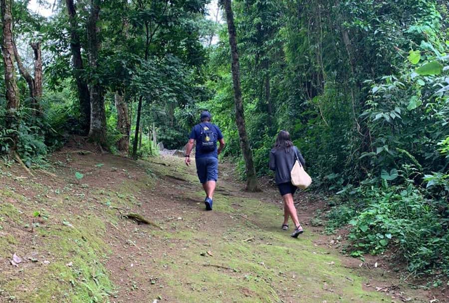 Paraty: Gold Trail Rainforest Hiking Tour - Who should book this hike?