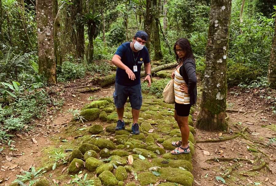 Paraty: Gold Trail Rainforest Hiking Tour - Practical packing and planning advice