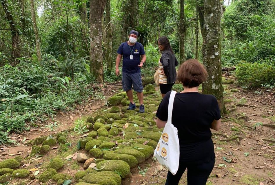Paraty: Gold Trail Rainforest Hiking Tour - Should you book the Gold Trail hike?