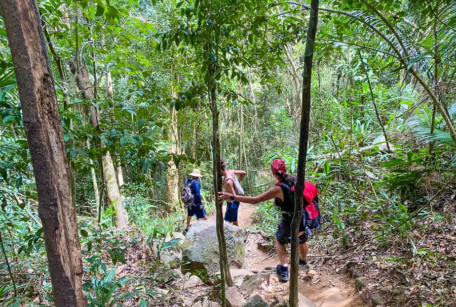 Paraty: Pão de Açucar Peak Trekking and Hiking Tour - Meeting in central Paraty at 8:00 a.m.