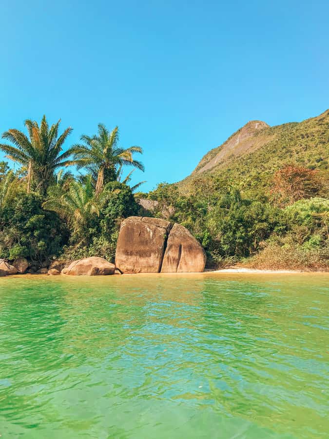 Paraty: Saco do Mamanguá Speedboat Tour - Should you book the Saco do Mamanguá speedboat tour?