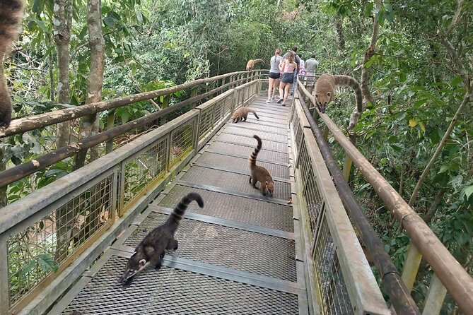 PARTICULAR TOUR of 2 days in the Iguassu Falls side BRA and ARG - Price, Extra Costs, and Overall Value