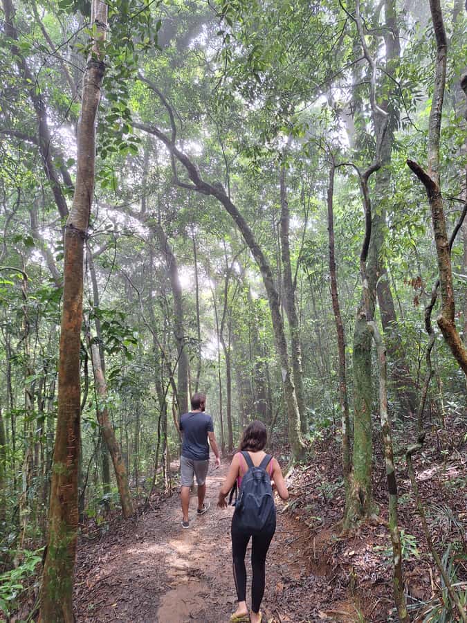 Pedra Bonita Trail: The easiest trail with a beautiful view of Rio - Key things to know before you climb