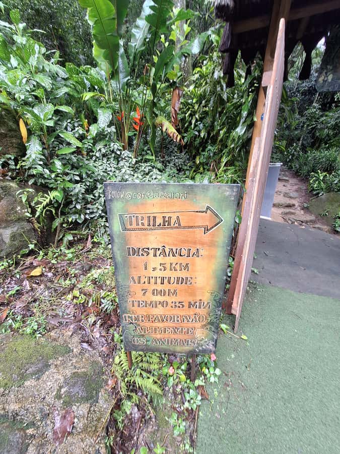 Pedra Bonita Trail: The easiest trail with a beautiful view of Rio - The viewpoint and Rio’s long sweep