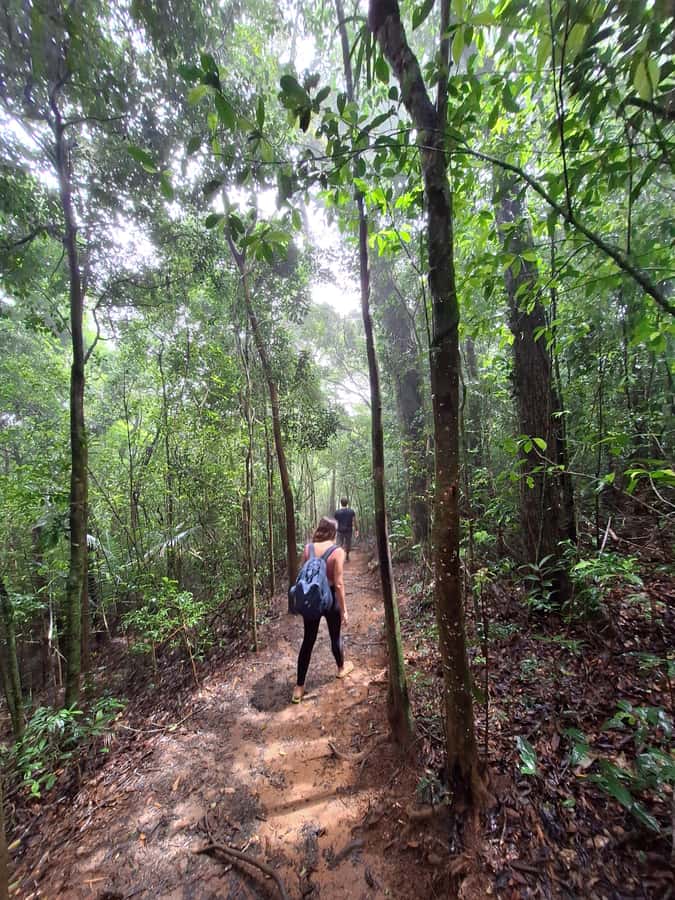 Pedra Bonita Trail: The easiest trail with a beautiful view of Rio - What the guide adds to the outing