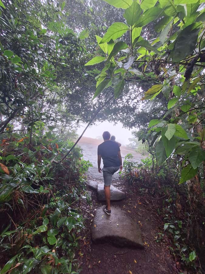 Pedra Bonita Trail: The easiest trail with a beautiful view of Rio - Is $44 a fair price?