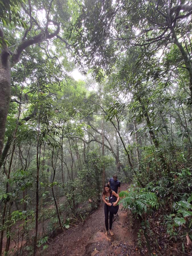 Pedra Bonita Trail: The easiest trail with a beautiful view of Rio - What to bring for a comfortable visit