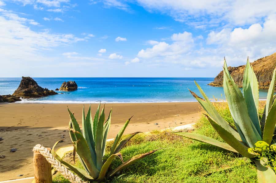 Pedra do Telégrafo Hike and Beach Full-Day Tour - Guides, languages, and the small-group feel