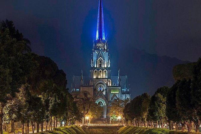 Petropolis City Tour with Imperial Museum and Optional Lunch & Bohemia Brewery - Cathedral of Saint Peter of Alcantara