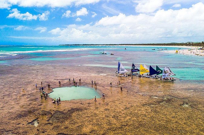 Port of Chicken - Private Transfer - Returning to Recife Airport with a wide time buffer