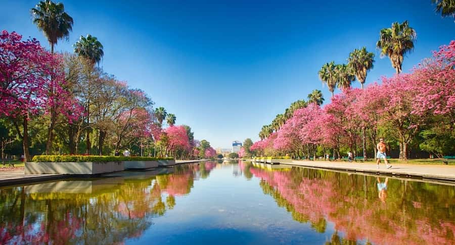Porto Alegre: Private Citytour na Capital dos Gaúchos - Churches, Palaces, And The Story Of Power