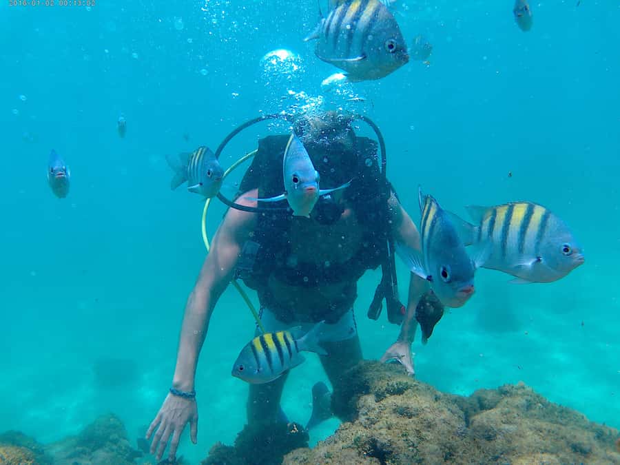 Porto Galinhas Full Day Tour - Key points to know before you go