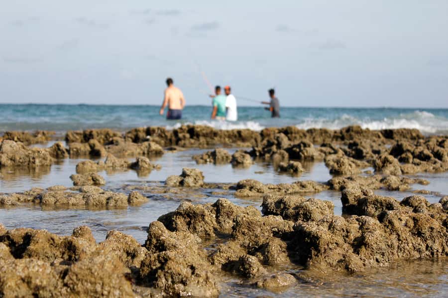 Porto Galinhas Full Day Tour - Why Porto de Galinhas makes a good Recife day trip