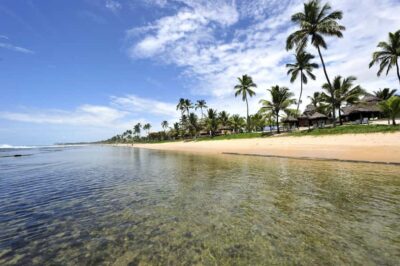 Porto Galinhas Full Day Tour