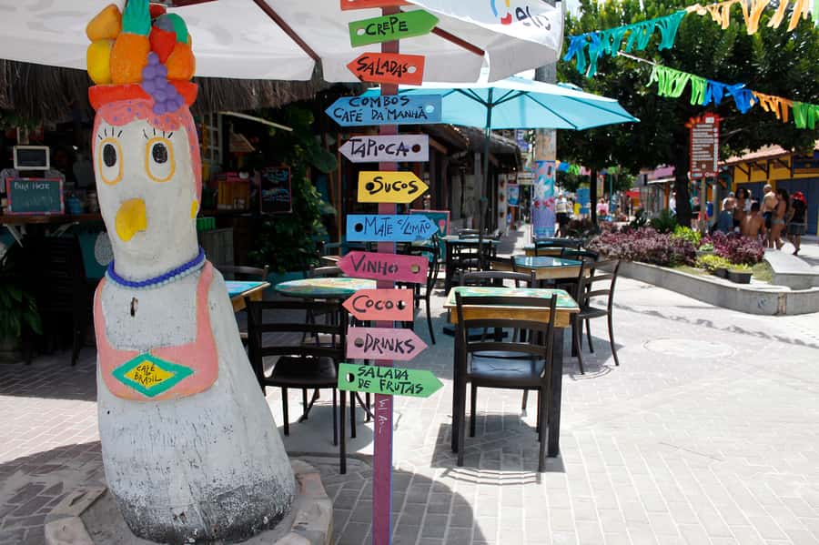 Porto Galinhas Full Day Tour - Should you book it?