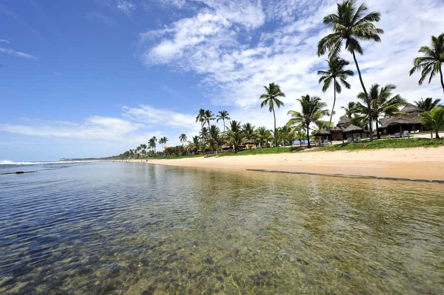 Porto Galinhas Full Day Tour - Morning pickup from Boa Viagem