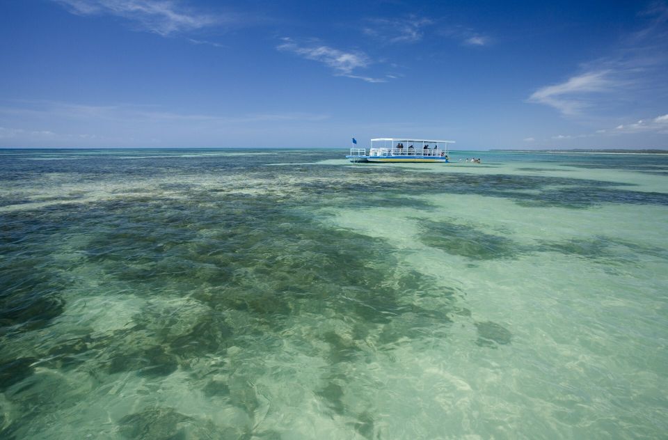 Praia de Paripueira Beach Day Tour - Natural pools, coral reefs, and tropical fish