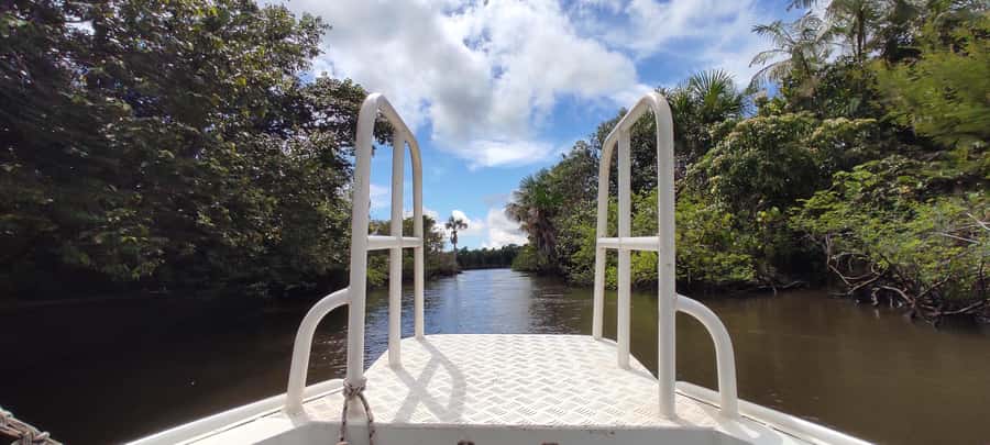 Preguicas River Speedboat Tour - Key points to know before you go