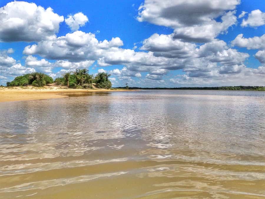 Preguicas River Speedboat Tour - Starting in Barreirinhas and reaching the river