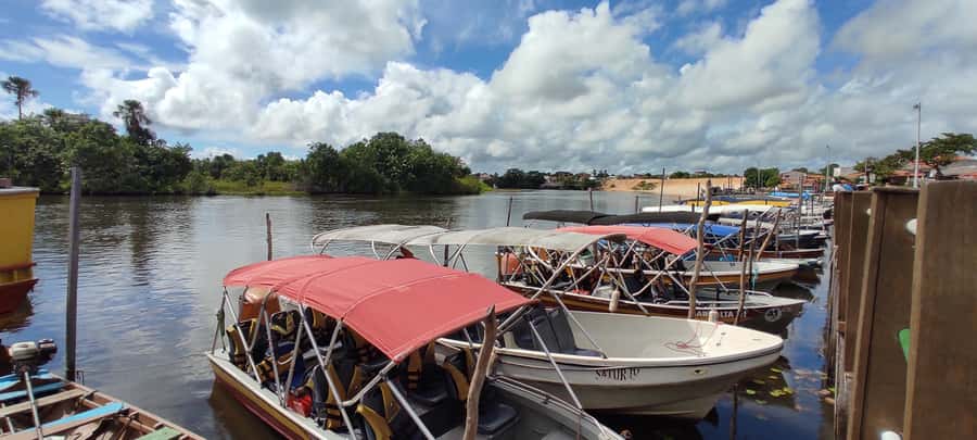Preguicas River Speedboat Tour - Timing, pickup, and the Portuguese-only guide