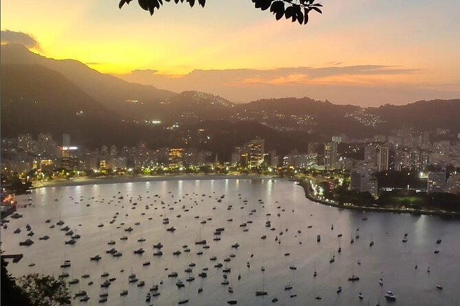 Private and Customizable Tour in Rio de Janeiro - A private Rio day built around your interests