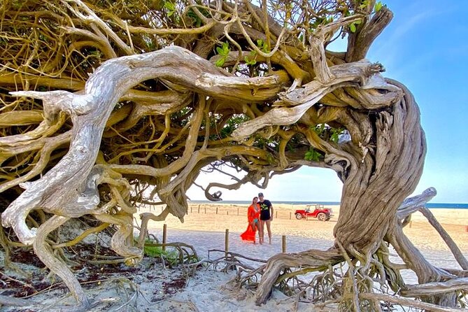 Private buggy tour along the east coast of Jericoacoara - Lagoa do Amâncio and the Final Park Views