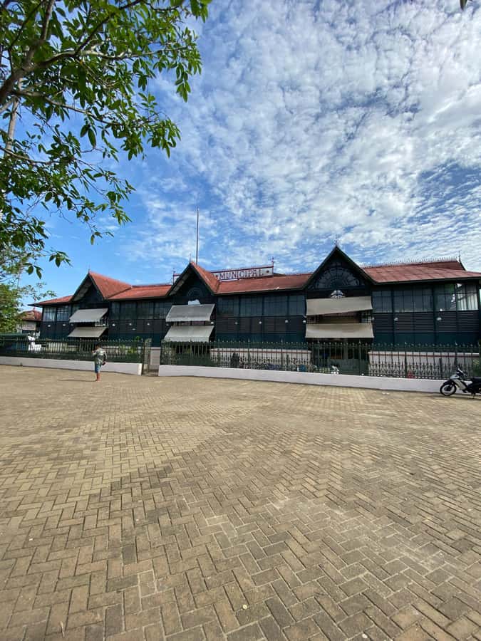 Private city tour in the historic center of Manaus - Weather, timing, and small practical details