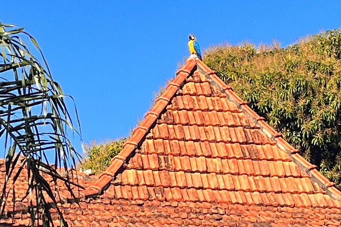 Private Cultural Tour in Campo Grande - A two-hour pause at Mercadão Municipal