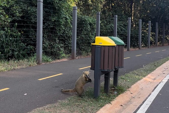 Private Cultural Tour in Campo Grande - A wildlife search through Parque dos Poderes