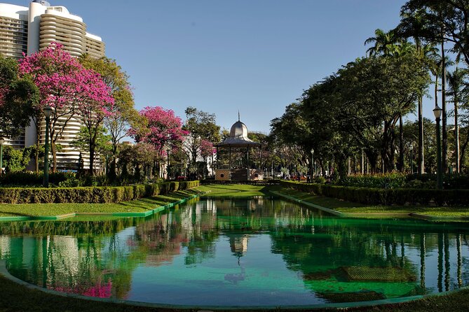 Private Custom Walking Tour with a Local Guide in Belo Horizonte - What This Three-Hour Tour Really Offers