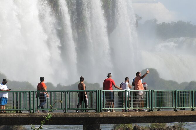 Private day tour to Iguazu Falls Brazil, Bird Park and Itaipu Dam - Parque das Aves, a close-up break from the waterfalls