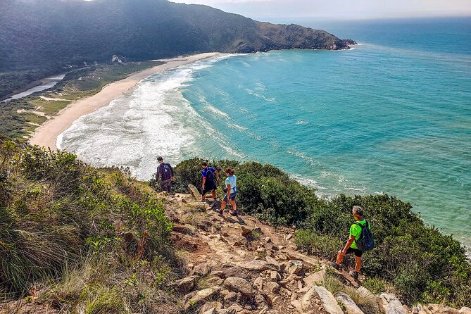Private Hiking Tour to Lagoinha do Leste - The 2-kilometer return through Atlantic Forest