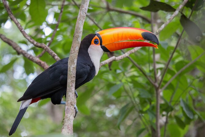 Private Hiking Tour to Lagoinha do Leste - What to pack for six to seven hours