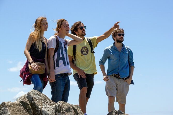 Private Hiking Tour to Lagoinha do Leste - Climbing Morro da Coroa for the big view