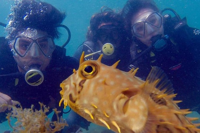 Private Program for Accredited Diver in Búzios - What the João Fernandes program is really like