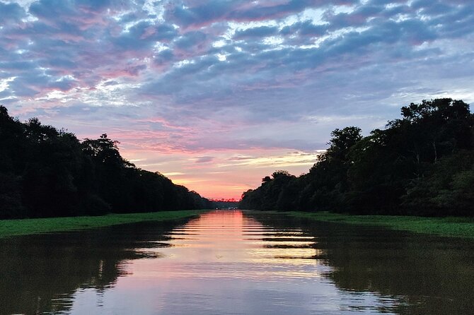 Private River Tour by Speedboat in the Amazon, Lily Pads & Nature - The Meeting of the Waters: Manaus’s great natural display