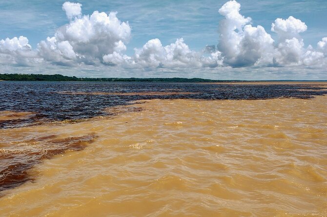 Private River Tour by Speedboat in the Amazon, Lily Pads & Nature - Walking above the forest floor