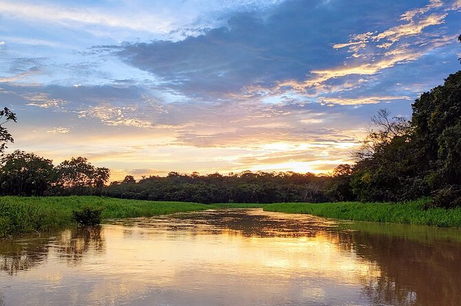 Private River Tour by Speedboat in the Amazon, Lily Pads & Nature - Leaving Manaus through the waterfront