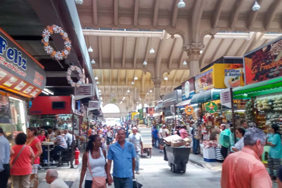Private São Paulo City Tour - Downtown, Sé Cathedral Square, and Luz Station