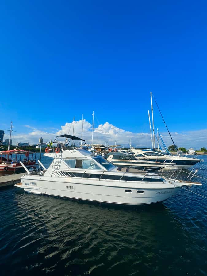 Private speedboat tour in Rio de Janeiro - Key Points Before You Book