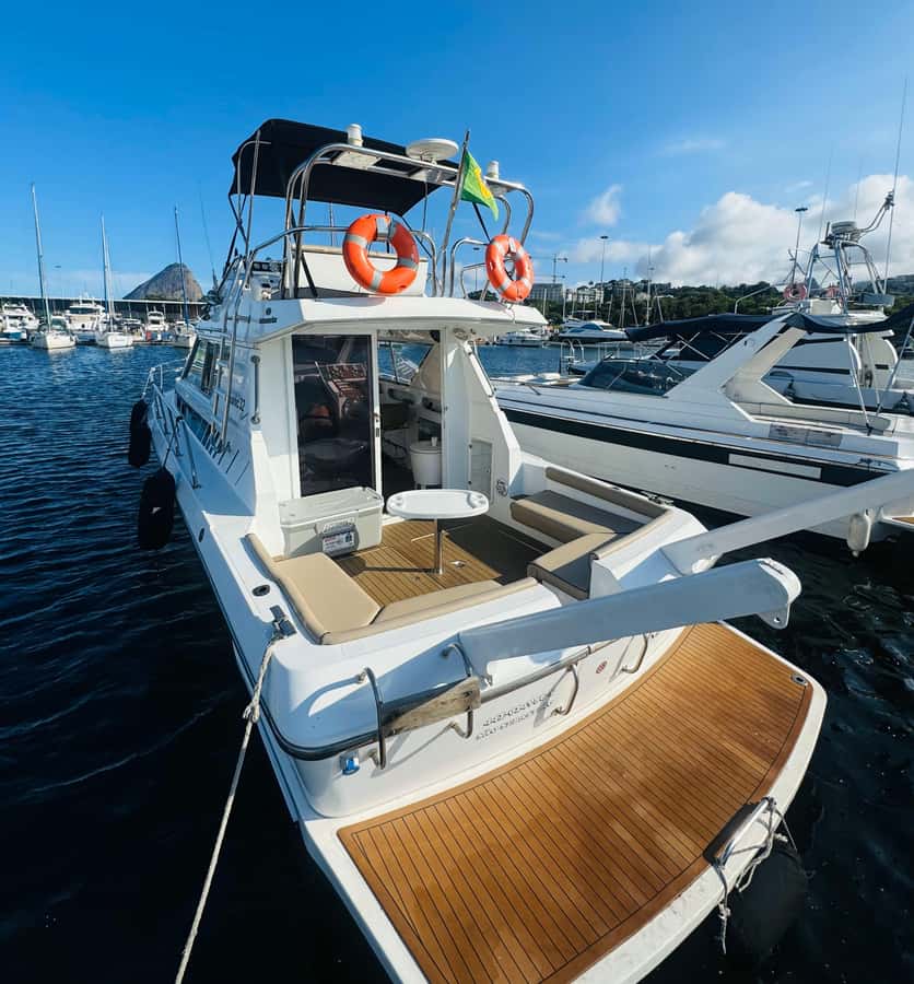 Private speedboat tour in Rio de Janeiro - What This Rio Boat Trip Is Really Like