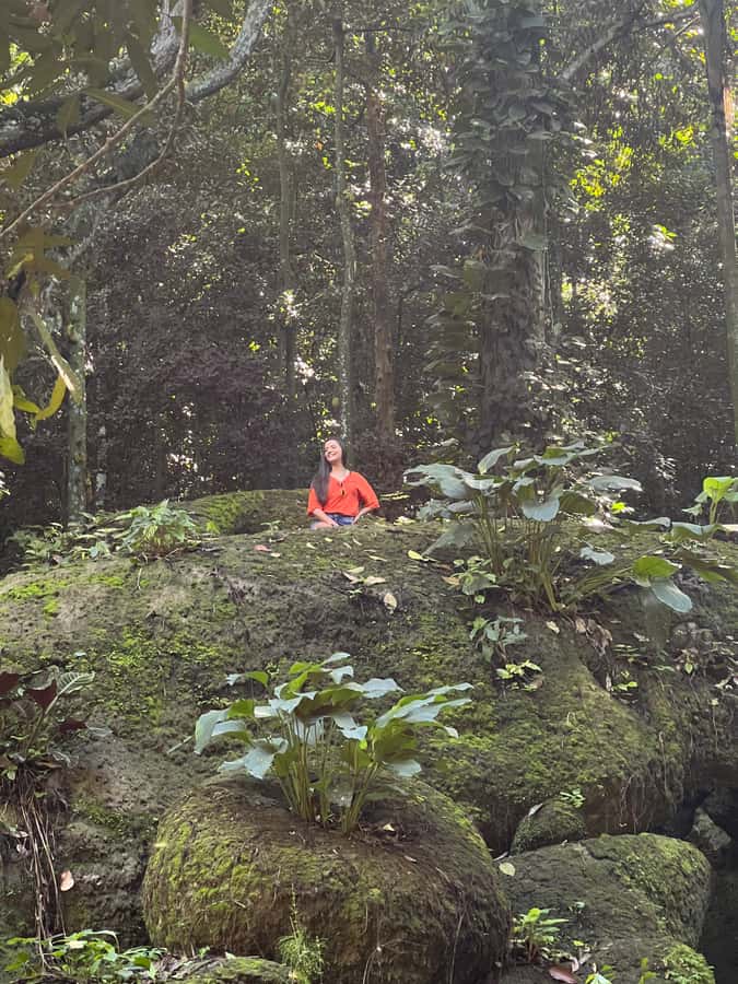 Private Tijuca Forest & Botanical Garden Guided Tour - Key points at a glance