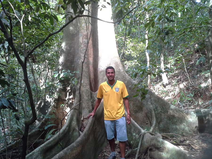 Private Tijuca Forest & Botanical Garden Guided Tour - Why this five-hour route works well in Rio