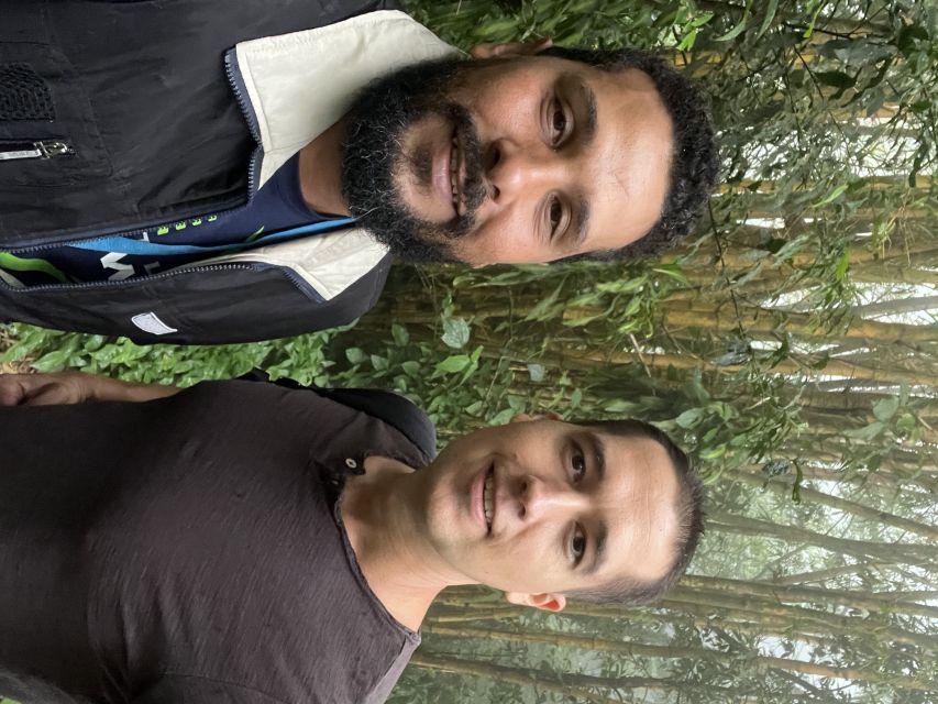 Private Tijuca Forest & Botanical Garden Guided Tour - The value of a private guide and vehicle
