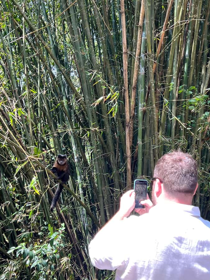 Private Tijuca Forest & Botanical Garden Guided Tour - Guide quality and communication