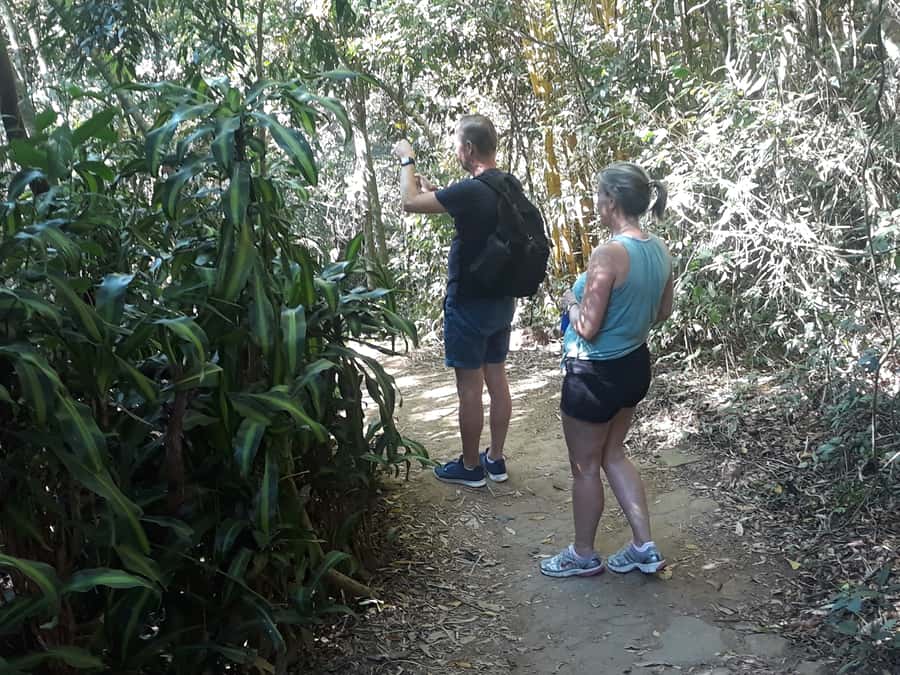 Private Tijuca Forest & Botanical Garden Guided Tour - What to pack for the forest and garden