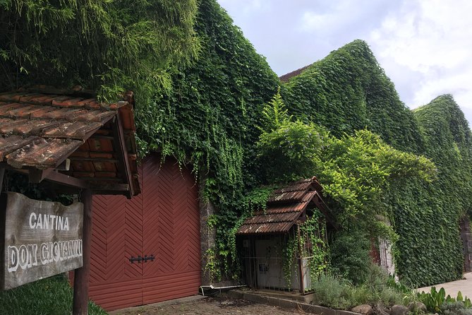 Private Tour Cave Geisse + 2 Wineries from Pinto Bandeira RS - Cave Geisse and the region’s sparkling wine focus