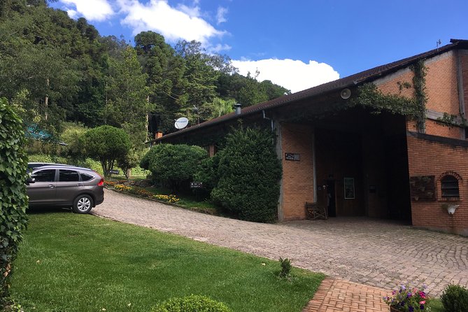 Private Tour Cave Geisse + 2 Wineries from Pinto Bandeira RS - Two more wineries and the value of comparison